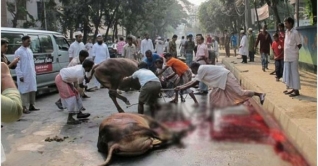 ঈদের জামাত শেষে নগরজুড়ে পশু কোরবানি