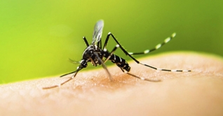 রাজধানীতে ডেঙ্গুজ্বরে শিশুর মৃত্যু