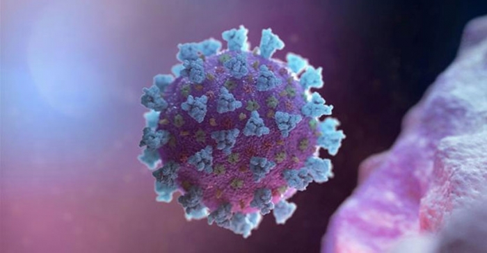 ছবি: ইন্টারনেট