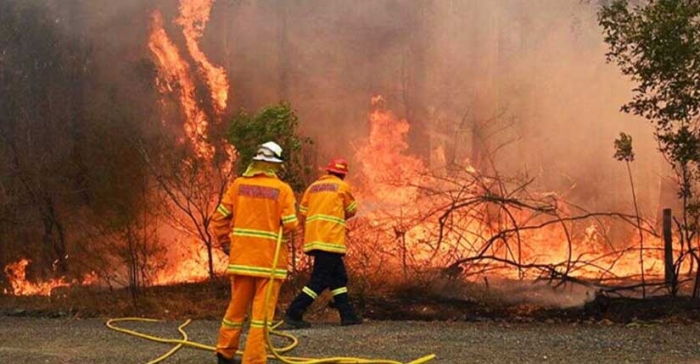 ছবি: ইন্টারনেট