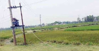 পিডিবির ছেঁড়া তারে বিদ্যুৎস্পৃষ্ঠে মারা গেলেন মা-ছেলে ও নাতি