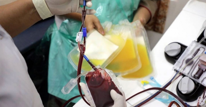 ছবি: ইন্টারনেট