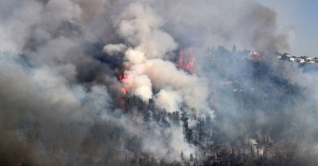 দাবানলে পুড়ছে ইসরায়েলের বনাঞ্চল, বিদেশি সহায়তার আর্জি