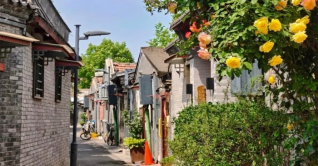 হুতং: বেইজিংয়ের হারানো সময়ের নীরব গল্প হুতং: বেইজিংয়ের হারানো সময়ের নীরব গল্প