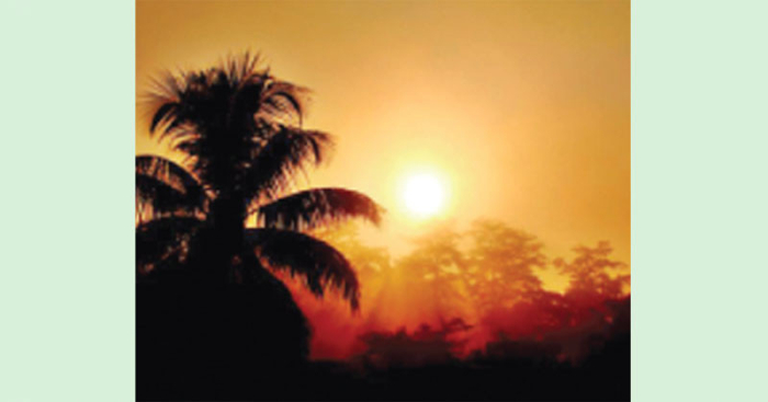 ছবি: সংগ্রহিত।