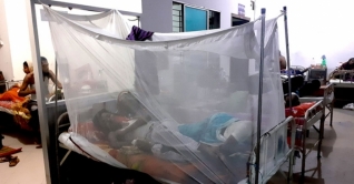 ১৫ জেলায় ডেঙ্গুতে আক্রান্ত ২০৮