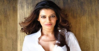 বলিউড অভিনেত্রী পায়েল গ্রেফতার