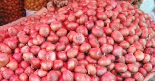 ভারত নিষেধাজ্ঞা তুলে নেয়ায় কমছে পেঁয়াজের দাম
