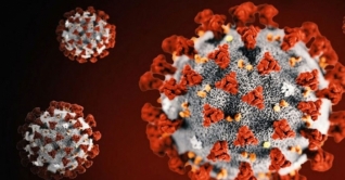 করোনা; এপ্রিলের দ্বিতীয় সপ্তাহ বাংলাদেশের জন্য ভয়ঙ্কর সময়