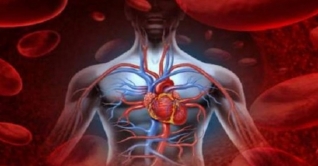 করোনাকালে শরীরকে বিষমুক্ত রাখার সাত সহজ উপায়! করোনাকালে শরীরকে বিষমুক্ত রাখার সাত সহজ উপায়!