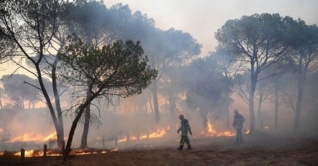 ফ্রান্সে দাবানল, সরানো হয়েছে স্থানীয় বাসিন্দা ও পর্যটকদের