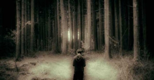 ভাল্লুকের মাঝে সন্তানকে রেখে আসলেন বাবা-মা! ভাল্লুকের মাঝে সন্তানকে রেখে আসলেন বাবা-মা!