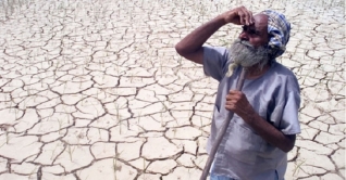 ভারতে চার বছরে দৈনিক ৮ জন কৃষকের আত্মহত্যা ভারতে চার বছরে দৈনিক ৮ জন কৃষকের আত্মহত্যা