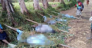 পাপুয়া নিউ গিনিতে নারী-শিশুসহ ২৪ জনকে হত্যা পাপুয়া নিউ গিনিতে নারী-শিশুসহ ২৪ জনকে হত্যা
