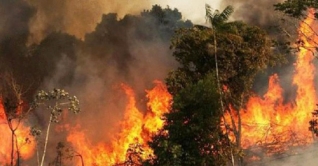 ভয়াবহ দাবানলের কবলে লেবানন ভয়াবহ দাবানলের কবলে লেবানন