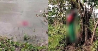 পুকুরে আড়াই মাসের কন্যা শিশুর লাশ, গাছে ঝুলছেন মা