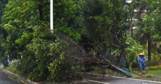 চীনে ঝড় ও শিলাবৃষ্টিতে ১১ জনের মৃত্যু চীনে ঝড় ও শিলাবৃষ্টিতে ১১ জনের মৃত্যু