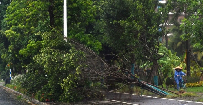 ছবি: ইন্টারনেট