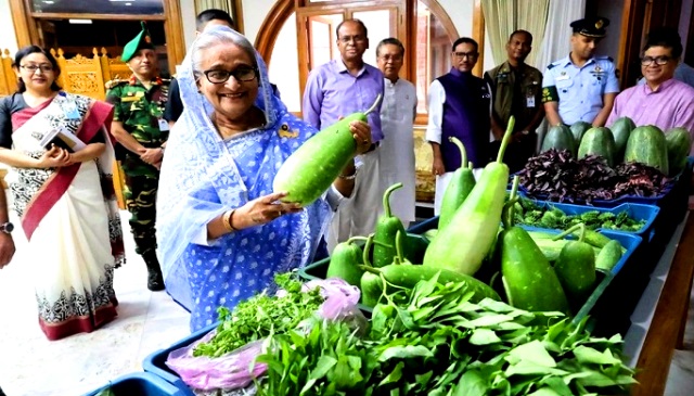 সংগৃহীত ছবি