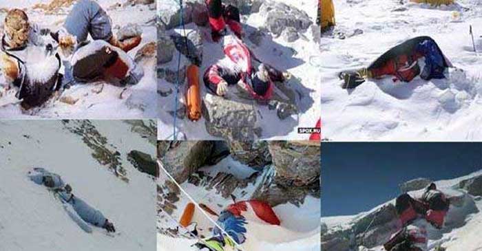 ছবি: ইন্টারনেট