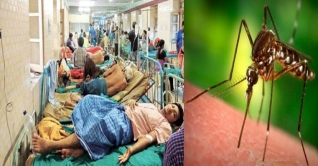 ঢাকাসহ সারাদেশে ডেঙ্গুর প্রকোপ