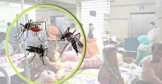 ডেঙ্গু কেড়ে নিল আরও এক শিশুর প্রাণ