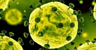 করোনা নিয়ে স্বাস্থ্য অধিদফতরের প্রতিবেদন হাইকোর্টে জমা