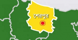 শেরপুরে ট্রাকচাপায় দুই নারী অটোযাত্রী নিহত