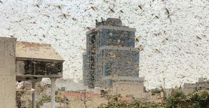 ছবি: ইন্টারনেট