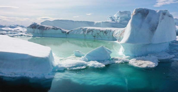 ছবি: ইন্টারনেট