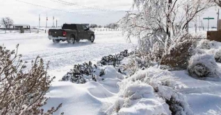 টেক্সাসে তুষারঝড়ে ২১ জনের প্রাণহানি