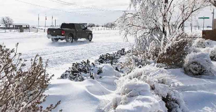 ছবি: ইন্টারনেট