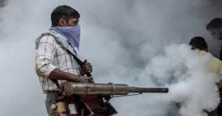 সোমবার থেকে ওয়ার্ডভিত্তিক মশা নিধন