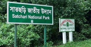 প্রেমিককে আটকে স্কুলছাত্রীকে ধর্ষণ, আটক ৩ বখাটে