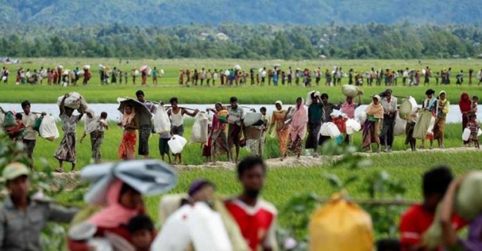 ছবি: ইন্টারনেট