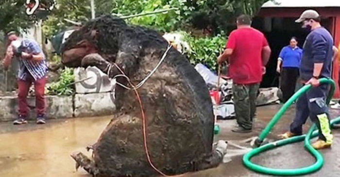 ছবি: ইন্টারনেট