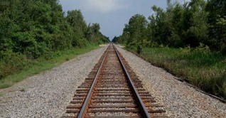 আম কুড়াতে গিয়ে ট্রেনের নিচে প্রাণ গেল দুই নারীর