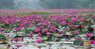 পর্যটকদের কাছে জনপ্রিয় হয়ে ওঠা দেশের ছয়টি স্থান পর্যটকদের কাছে জনপ্রিয় হয়ে ওঠা দেশের ছয়টি স্থান