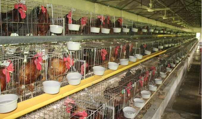 ফাইল ছবি।