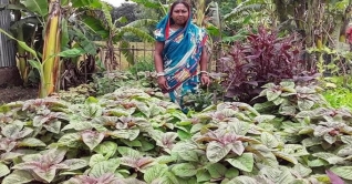 পরিত্যক্ত স্থানে সবজি চাষে সফল কল্পনা রানী