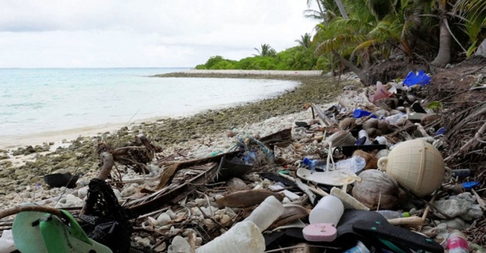 ছবি: ইন্টারনেট