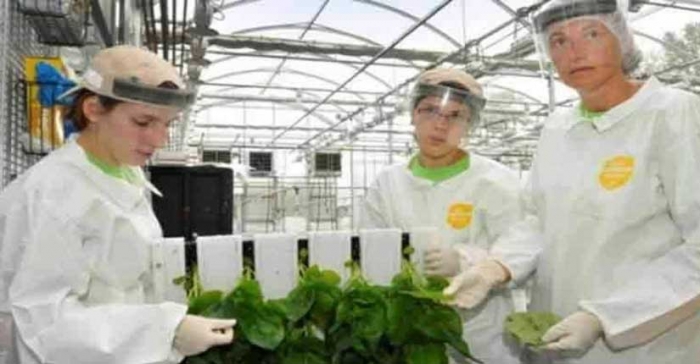 ছবি: ইন্টারনেট