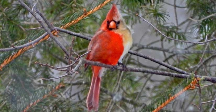 ছবি: ইন্টারনেট