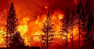 দাবানলে পুড়ছে ক্যালিফোর্নিয়া, ৯০ হাজার একর বনভূমি ছাই দাবানলে পুড়ছে ক্যালিফোর্নিয়া, ৯০ হাজার একর বনভূমি ছাই