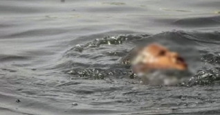 রাণীনগরে পানিতে ডুবে শিশু ও বৃদ্ধা নিহত