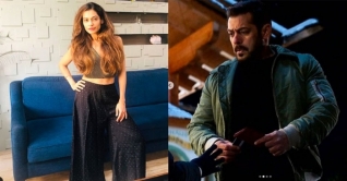 দাদাগিরি বন্ধ করুন, সালমানের উদ্দেশ্যে পায়েল