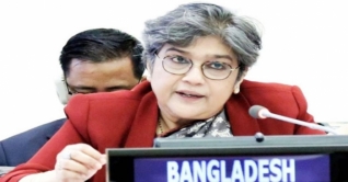 রোহিঙ্গা সংকটে প্রয়োজন রাজনৈতিক সমাধান: রাবাব ফাতিমা রোহিঙ্গা সংকটে প্রয়োজন রাজনৈতিক সমাধান: রাবাব ফাতিমা
