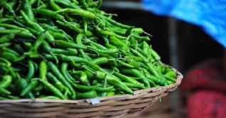 বেনাপোলে কাঁচা মরিচের বাজার লাগামহীন