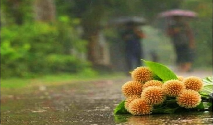 প্রতীকি ছবি।