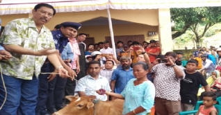 অস্বচ্ছল-প্রান্তিক নারীদের মাঝে গাভী বিতরণ